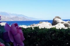 20180813_151518-scaled