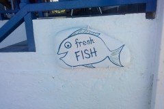 11205492_424699201041390_2780987375745796953_n