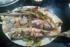 12963942_549232795254696_5397170306855613170_n