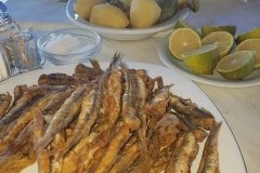 70166736_1263642343813734_6079360636498739200_n