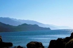 904580_557896914230953_1138078895_o