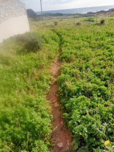 new_ways_paleochora