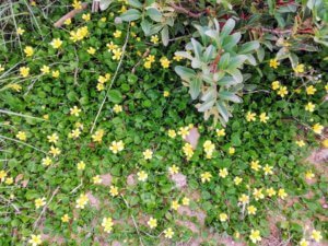 november_paleochora