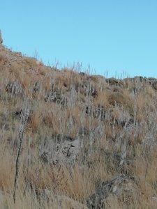 october_splendour